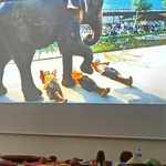 Zdjęcie filmu - słoń przechodzi nad leżącymi osobami.jpg